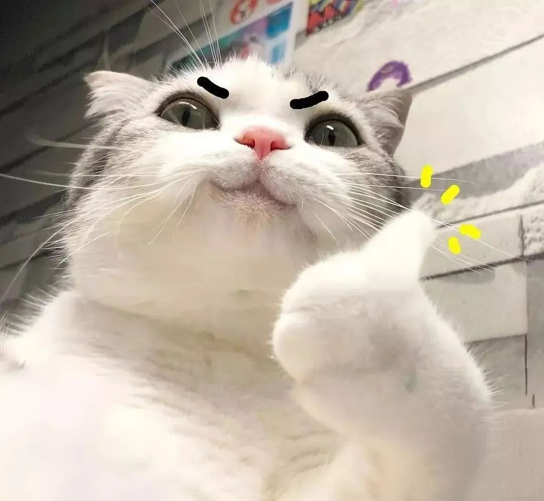 DƬ